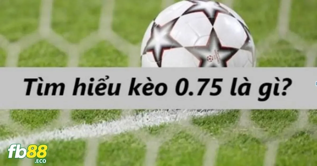 Kèo Chấp 0.75 Là Gì? Hướng Dẫn Đặt Cược Hiệu Quả 4 Hướng Dẫn Đặt Cược Kèo 0.75 Tại Nhà Cái Fb88