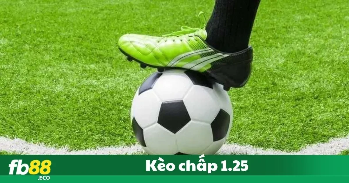 Kèo Chấp 1.25 Là Gì? Hướng Dẫn Đặt Cược Tại Nhà Cái Fb88 2 Kèo Chấp 1.25 Là Gì? Ý Nghĩa Và Cách Đọc