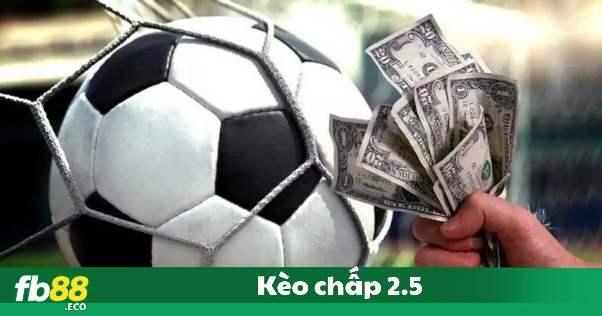 Kèo Chấp 2.5 Là Gì? Phân Tích Và Cách Đặt Cược Tại Fb88 2 Kèo Chấp 2.5 Là Gì? Cách Hiểu Dành Cho Người Mới