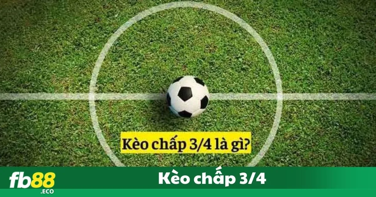 Kèo Chấp 3/4 Là Gì? Hướng Dẫn Đặt Cược Chi Tiết Tại Fb88 2 Kèo Chấp 3/4 Là Gì? Quy Tắc Đơn Giản