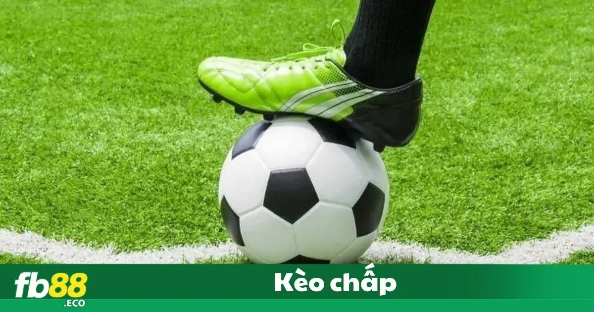 Kèo Chấp Là Gì? Hướng Dẫn Đặt Cược Hiệu Quả Tại Fb88 2 Tầm Quan Trọng Của Kèo Chấp Trong Cá Cược Thể Thao