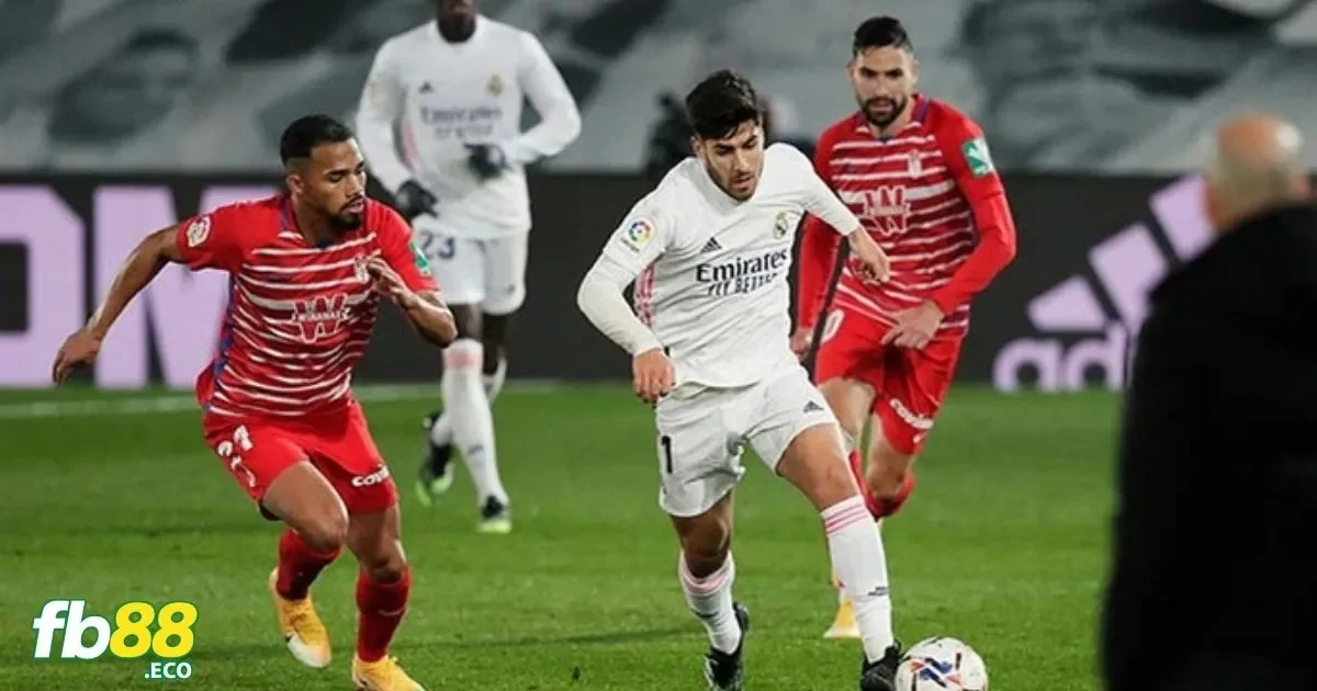 Soi Kèo La Liga – Nhận Định Và Dự Đoán Chính Xác Tại Fb88 3 Kèo Đặc Biệt