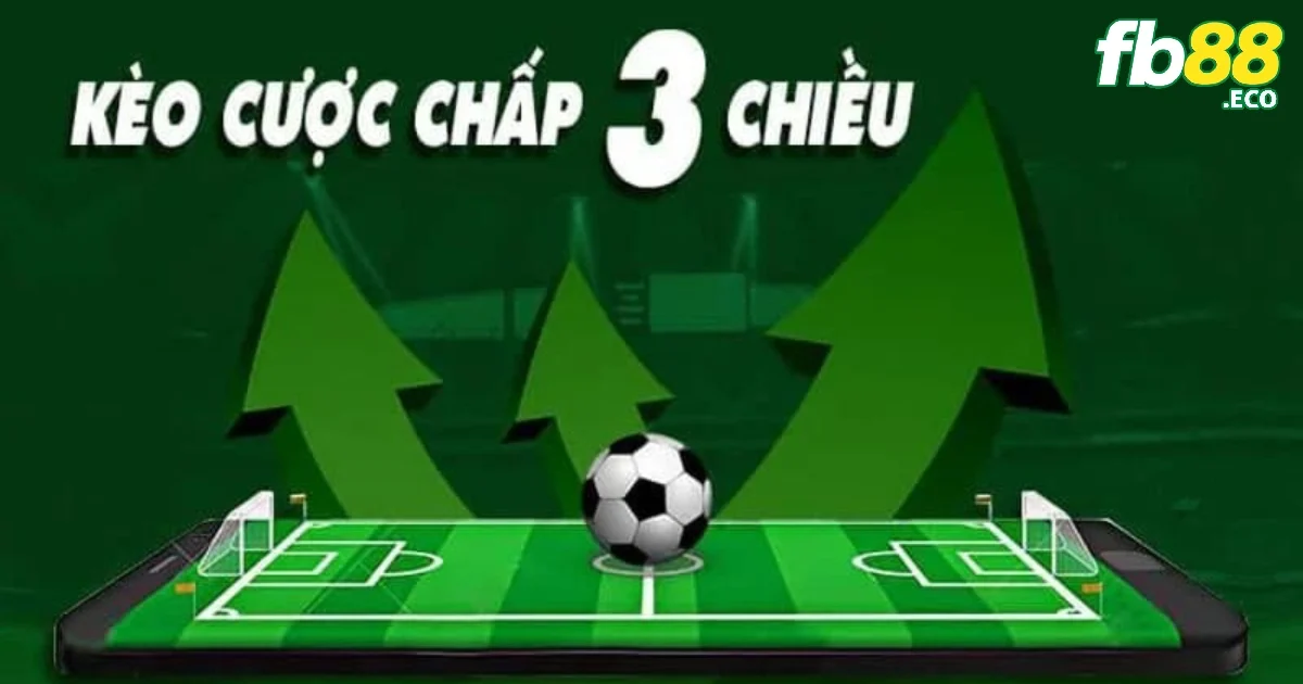 Tìm Hiểu Cược Chấp 3 Chiều: Định Nghĩa và Hướng Dẫn Đặt Cược 2 Khái niệm về cược chấp 3 chiều tại FB88