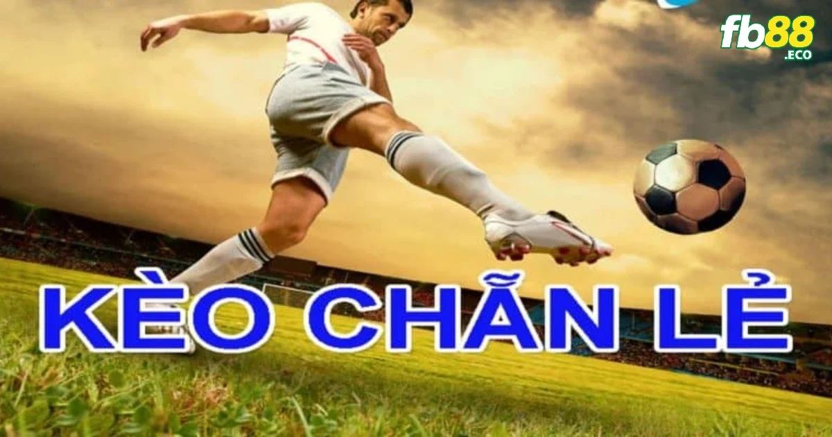 Kèo chẵn lẻ bóng đá – Đơn giản nhưng hiệu quả tại Fb88 3 Những thông tin từ nguồn đáng tin cậy có thể hỗ trợ khi chơi kèo chẵn lẻ
