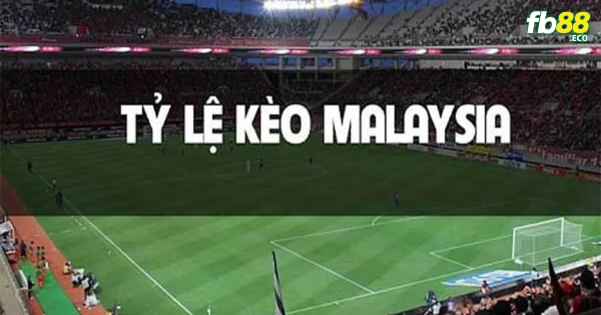 Kèo Mã Lai Tại FB88 – Cách Đọc Và Tính Lời Lỗ Theo Tỷ Lệ Âm Dương 2 Kèo mã lai với kèo châu Á có những khác biệt gì